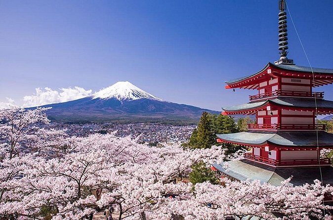 Tokyo Mount Fuji and Hakone Private Day Tour - Who Is This Tour Best For?