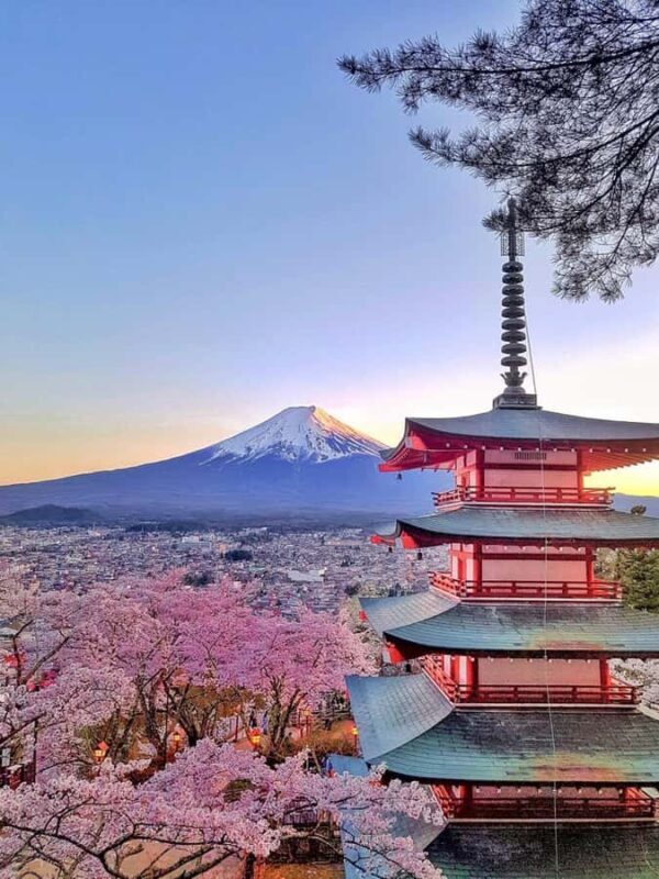 Tokyo: Mount Fuji and Hakone Private Day Trip with driver - Who Would Love This Tour?