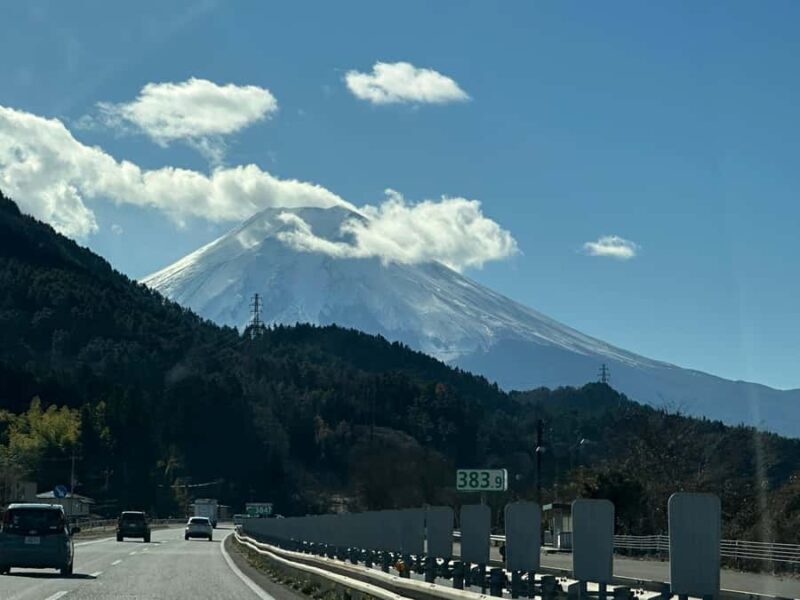 Tokyo: Mount Fuji and Hakone Private Sightseeing Day Tour - Practical Aspects of the Tour