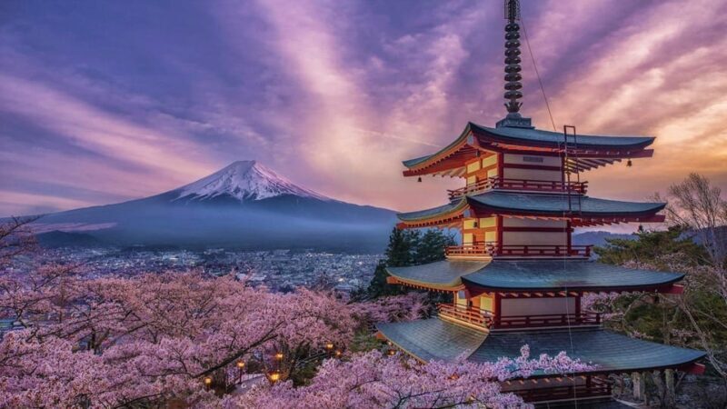 Tokyo: Mount Fuji and Hakone Private Sightseeing Day Tour - An Honest Look at the Tour Experience