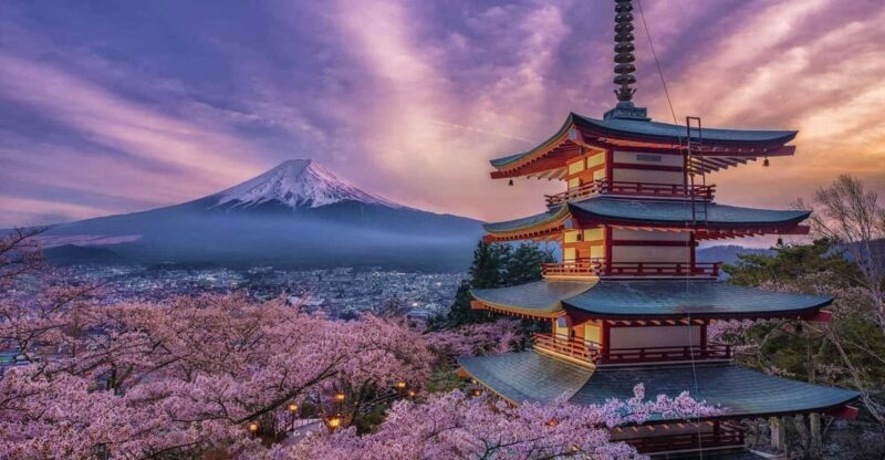 Tokyo: Mount Fuji and Hakone Private Sightseeing Day Tour - Who Is This Tour Best For?