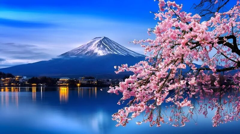Tokyo: Mount Fuji and Hakone private sightseeing tour - An In-Depth Look at the Tour Experience