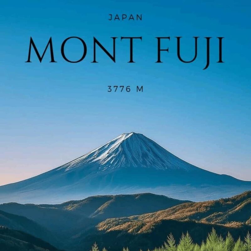 Tokyo: Mount Fuji And Hakone Private Tour Full Customizable - Value and Pricing: Does It Pay Off?