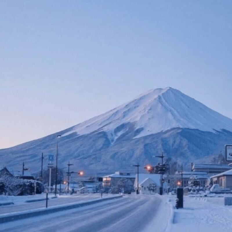 Tokyo: Mount Fuji And Hakone Private Tour Full Customizable - FAQ