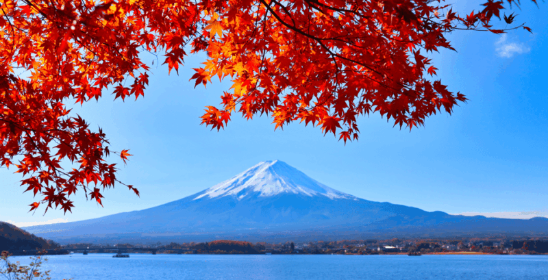 tokyo-mount-fuji-and-lake-kawaguchi-scenic-1-day-bus-tour