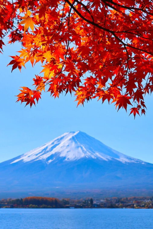 tokyo-mount-fuji-and-lake-kawaguchi-scenic-1-day-bus-tour