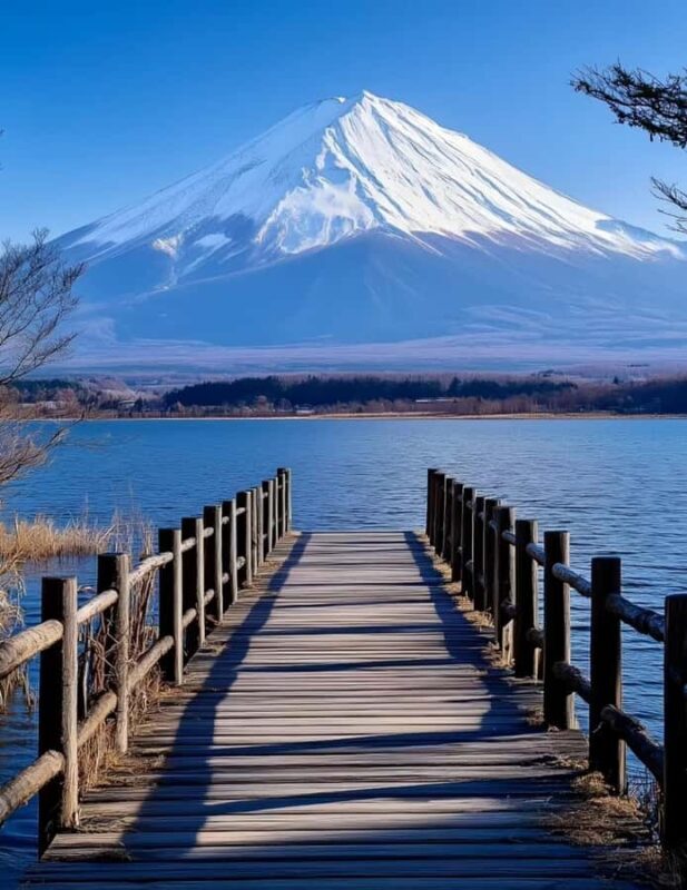 Tokyo: Mount Fuji and Lake Yamanaka Day Trip with Pickup - What Makes This Tour Stand Out