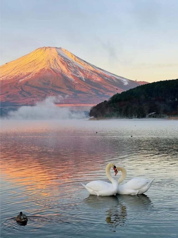 Tokyo: Mount Fuji and Lake Yamanaka Day Trip with Pickup - Final Thoughts