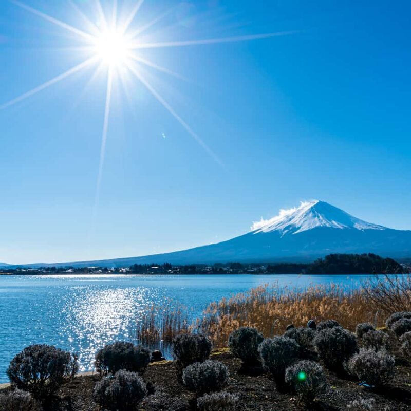 Tokyo: Mount Fuji, Chureito Pagoda Private Tour Customizable - What You Can Expect on the Day