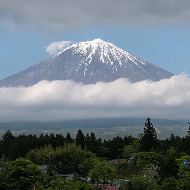 Tokyo: Mount Fuji, Chureito Pagoda Private Tour Customizable - The Value of This Experience
