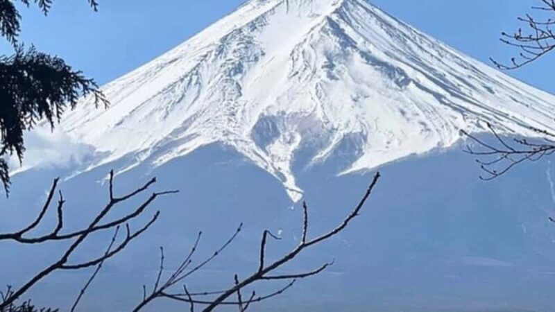 Tokyo: Mount Fuji Day Trip By English Speaking Driver - Final Words