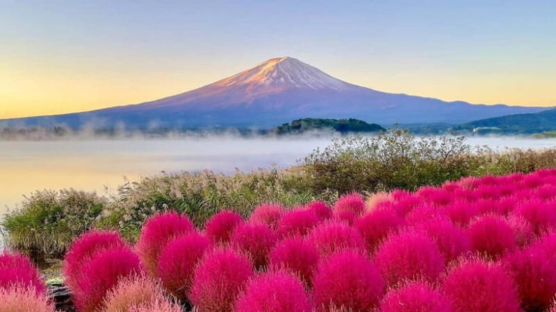 Tokyo: Mount Fuji Day Trip with Scenic & Local Stops - Key Points