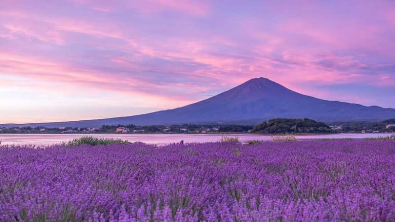 Tokyo: Mount Fuji Day Trip with Scenic & Local Stops - Final Thoughts: Who Will Love This Tour?