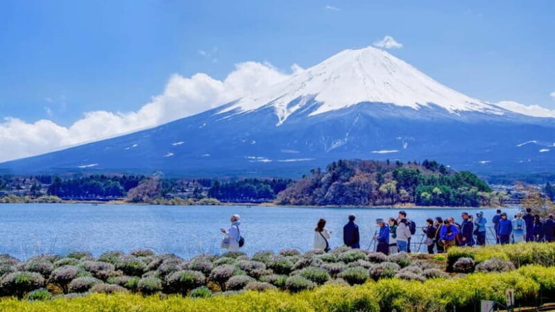 Tokyo: Mount Fuji Day Trip with Scenic & Local Stops - FAQ