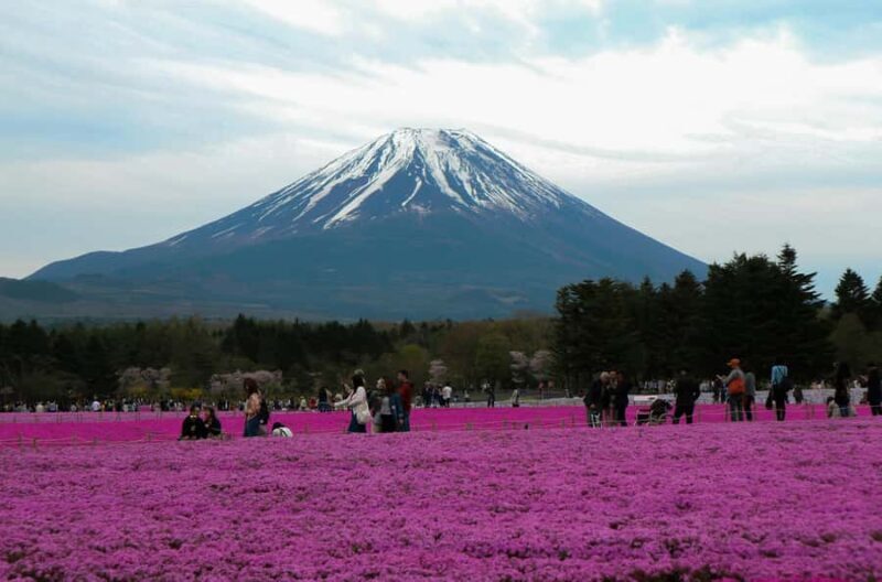Tokyo: Mount Fuji Full Day Private Customized Tour - An Introduction to the Tour Experience