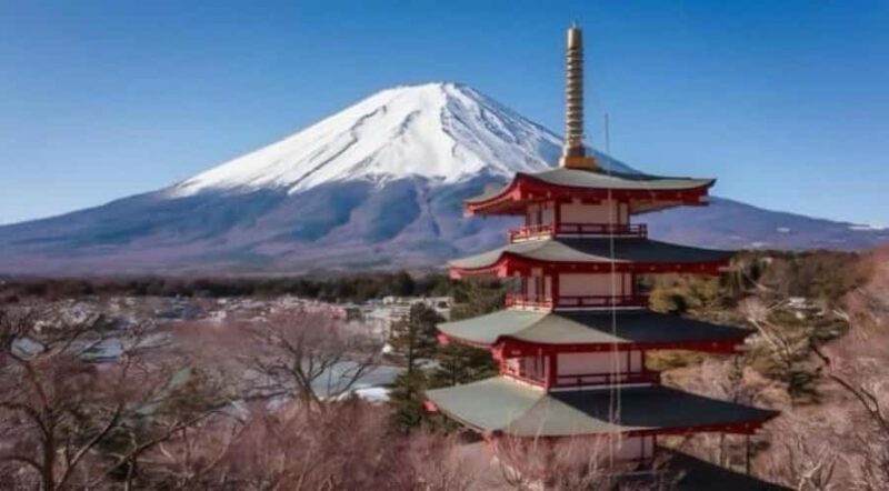 Tokyo: Mount Fuji Full Day Private Customized Tour - Key Points