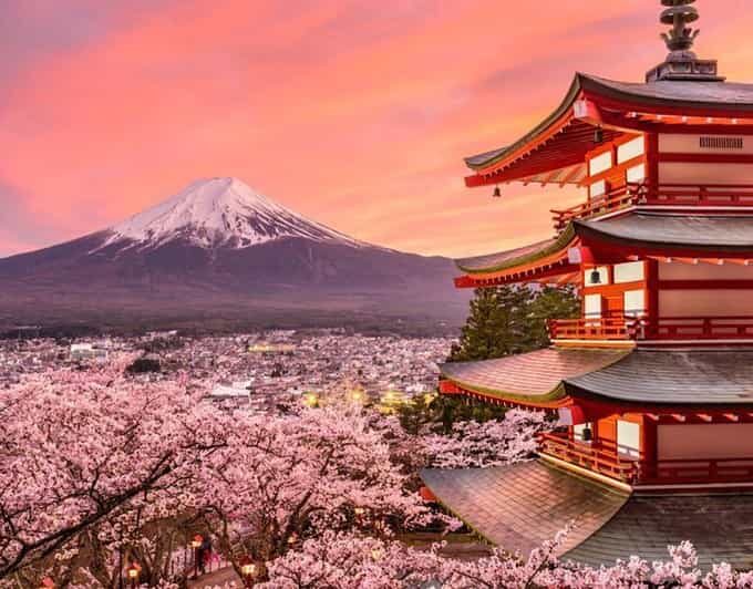 Tokyo: Mount Fuji Full day Private Sightseeing Guided tour - Key Points  