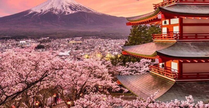 Tokyo: Mount Fuji Full day Private Sightseeing Guided tour - A Closer Look at the Itinerary and Experiences