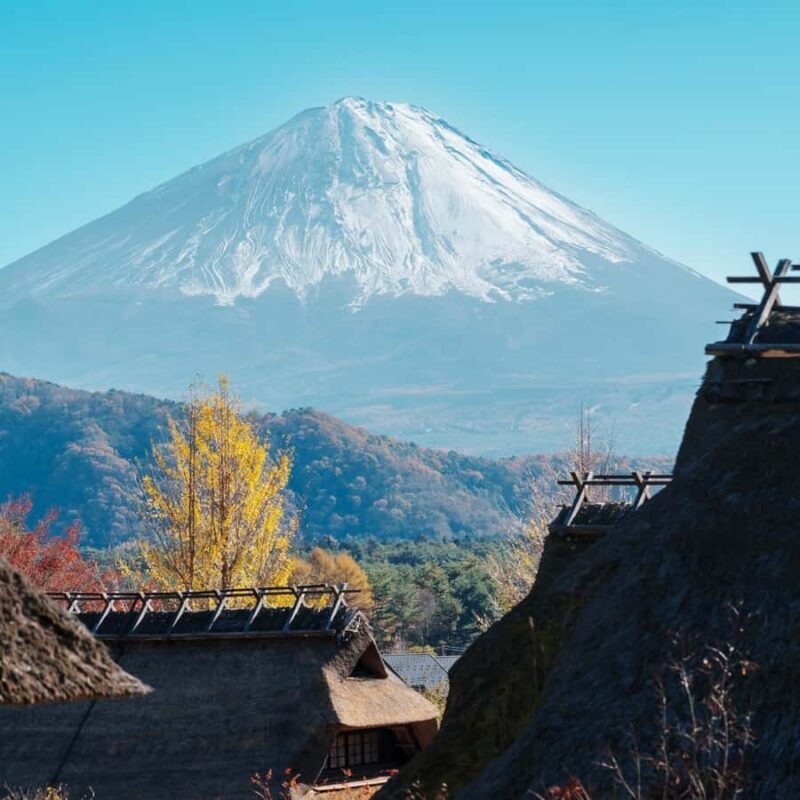 Tokyo: Mount Fuji Full Day Private Tour With English Guide - Key Points