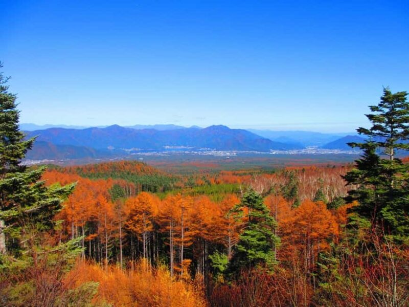 Tokyo: Mount Fuji, Gotemba Outlet, and Hakone Day Trip - Exploring the Highlights in Detail