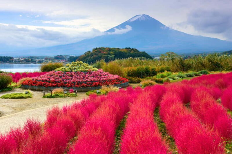 Tokyo: Mount Fuji & Hakone Highlights Private Full-Day Tour - Oishi Park: A Flower-filled Viewpoint