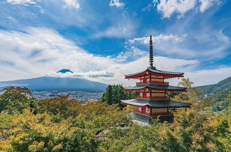 Tokyo: Mount Fuji & Hakone Private Customized Full Day Tour - Exploring the Full Itinerary: What to Expect on This Scenic Journey