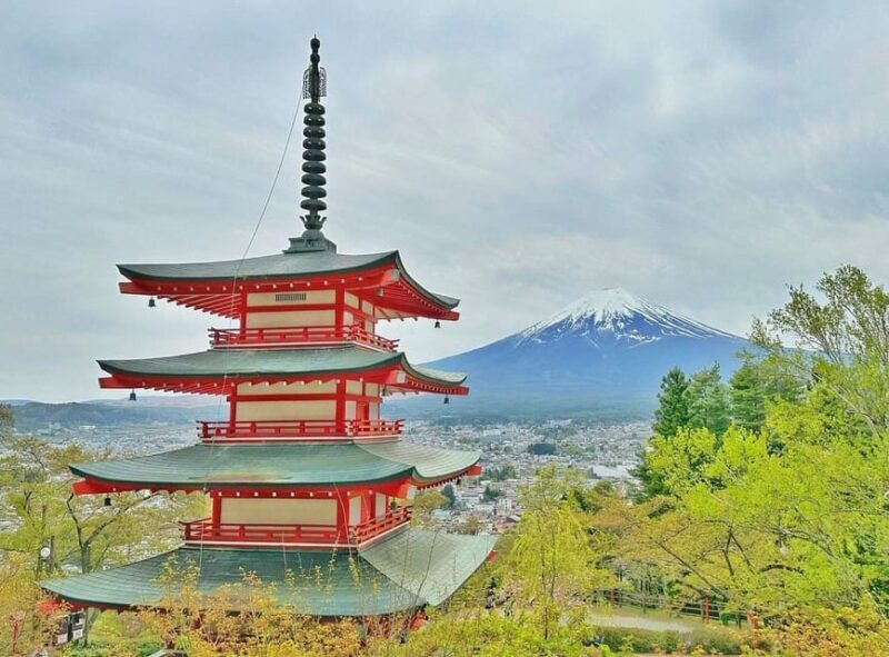 Tokyo: Mount Fuji & Hakone Private Customized Full Day Tour - Practical Tips and Insights From Past Travelers