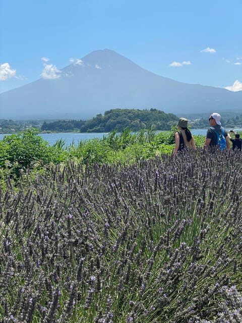Tokyo: Mount fuji & Hakone Private Day Tour - FAQs