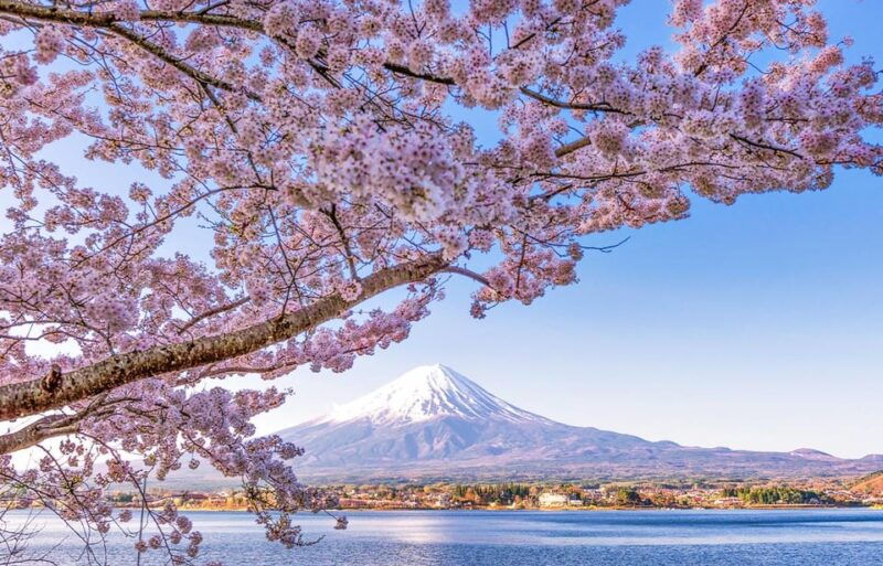 tokyo-mount-fuji-kawaguchi-lake-oshino-hakkai-1-day-trip