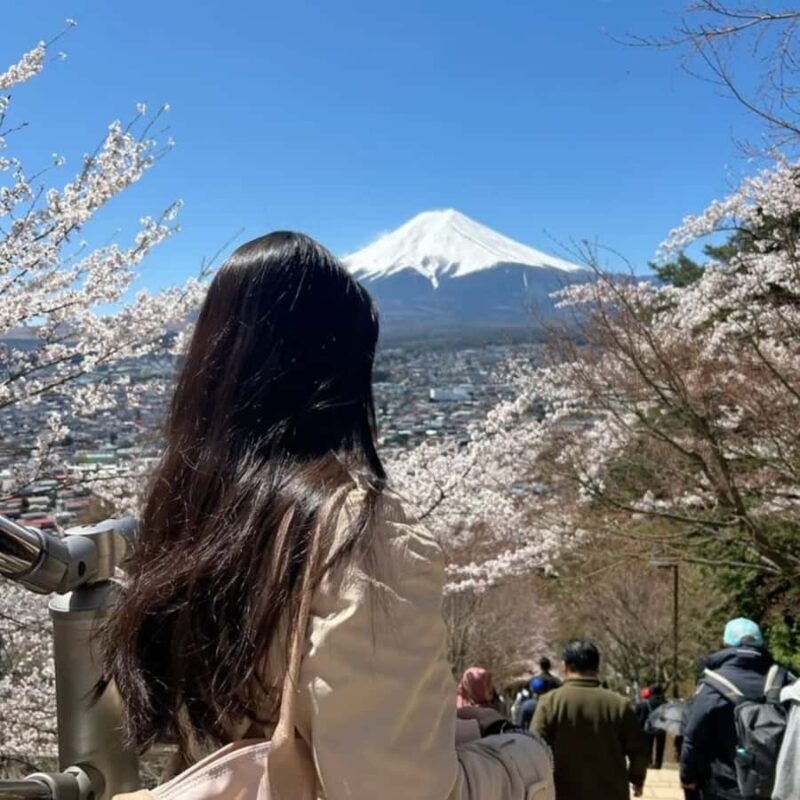 Tokyo: Mount Fuji Must See Private Tour Adjustable Itinerary - Who Should Consider This Tour?