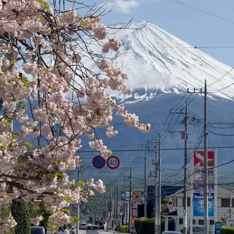 Tokyo: Mount Fuji Must See Private Tour Adjustable Itinerary - The Sum Up