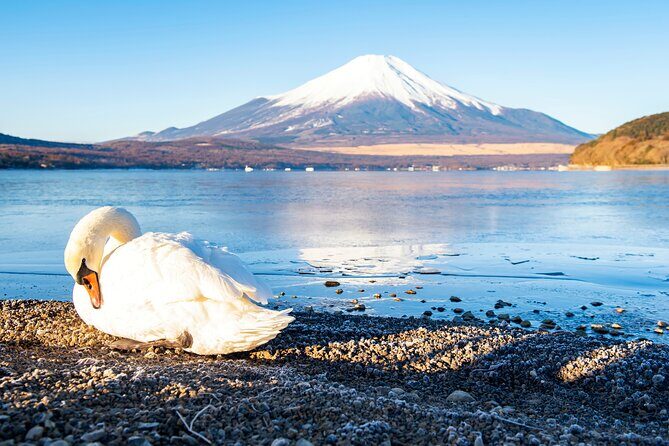 Tokyo: Mount Fuji One Day Trip Lake Kawaguchi & Lake Yamanaka - Key Points