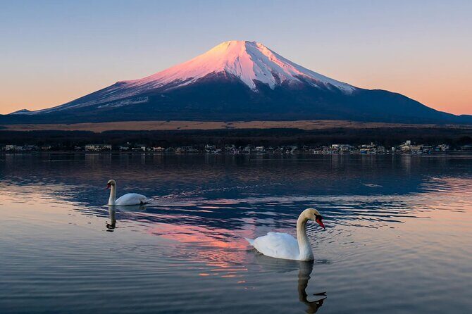 Tokyo: Mount Fuji One Day Trip Lake Kawaguchi & Lake Yamanaka - Who Will Love This Tour?