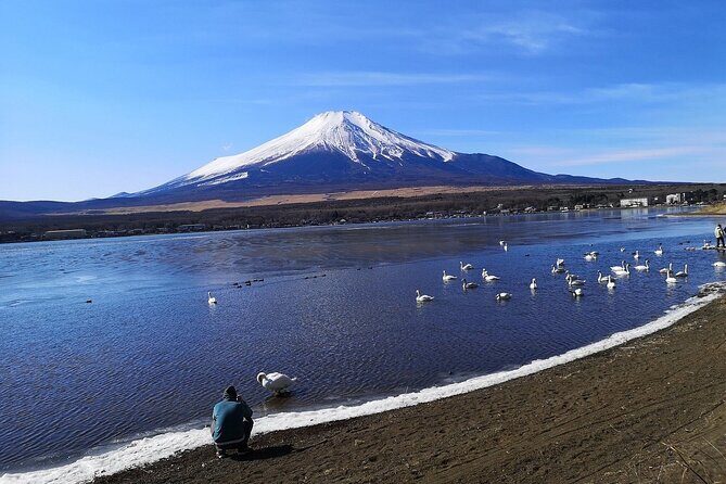 Tokyo: Mount Fuji One Day Trip Lake Kawaguchi & Lake Yamanaka - Final thoughts