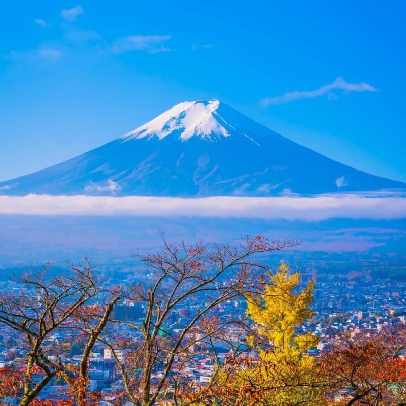 Tokyo : Mount Fuji Private Customized Tour English Guide - Who Should Consider This Tour?