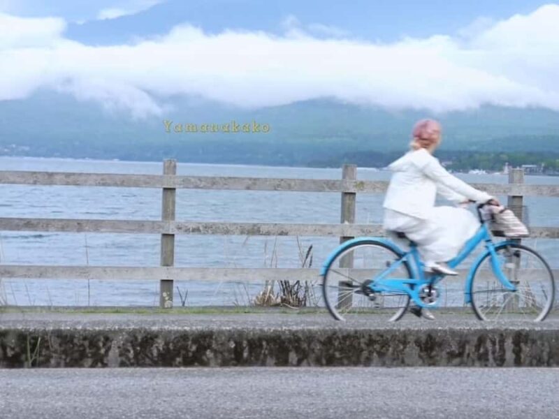 Tokyo: Mount Fuji Private Customized Tour with Cruise Option - FAQ