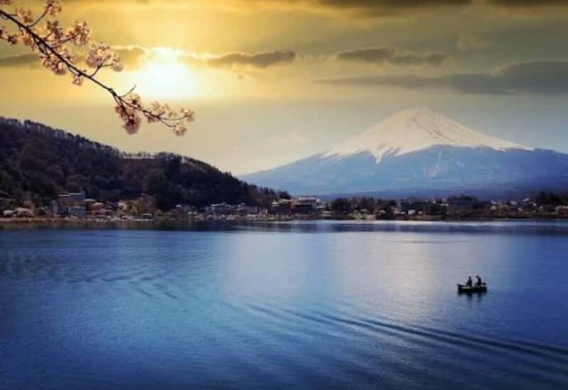 Tokyo: Mount Fuji Private Customized Tour With English Guide - What You Can Expect on This Tour