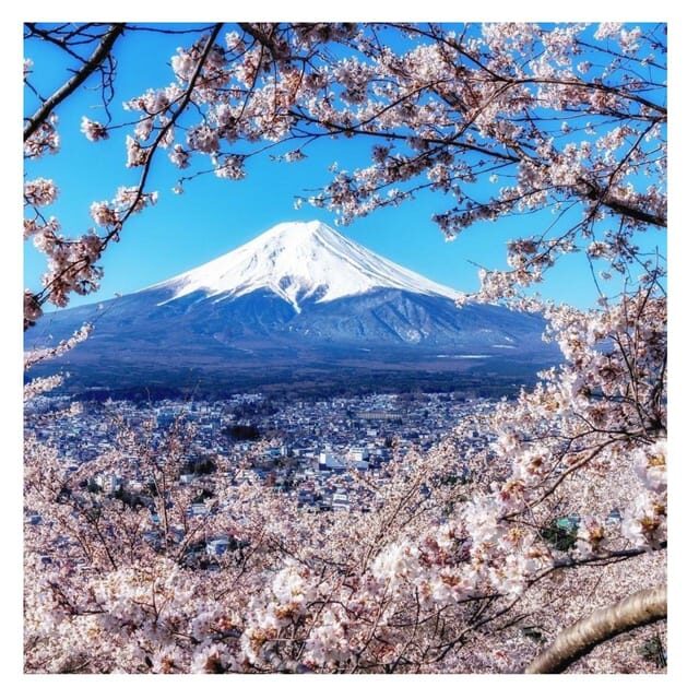 Tokyo: Mount Fuji Private Day Tour Comfortable Pickup & Drop - Who This Tour Is Best For