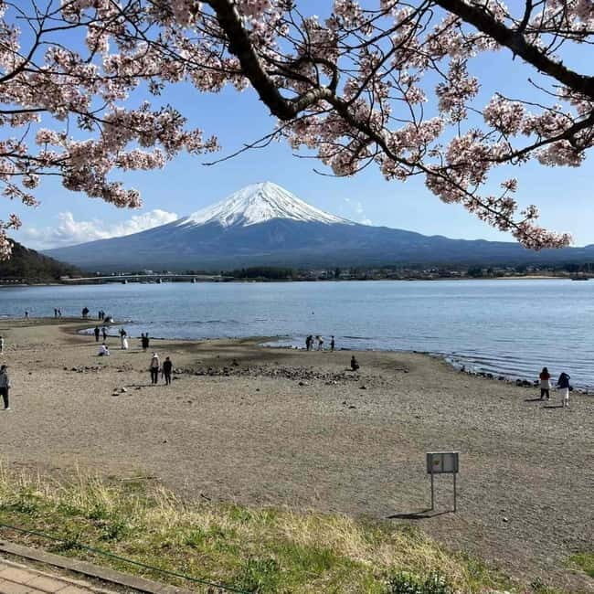 Tokyo: Mount Fuji Private Day Tour With Low Price Guarantee - In-Depth Review of the Mount Fuji Private Day Tour