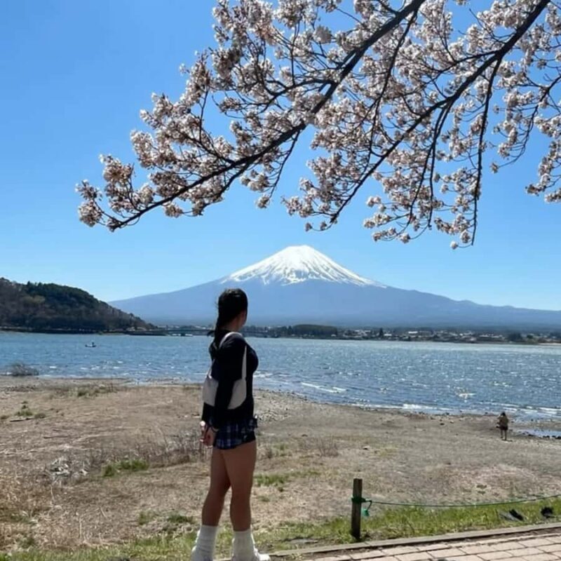 Tokyo: Mount Fuji Private Full Day Tour Adjustable Itinerary - Why This Tour Is a Great Value