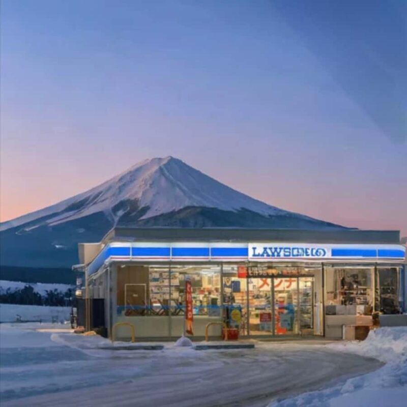 Tokyo: Mount Fuji Private Fully Customizable Itinerary Tour - Who Is This Tour Best Suited For?