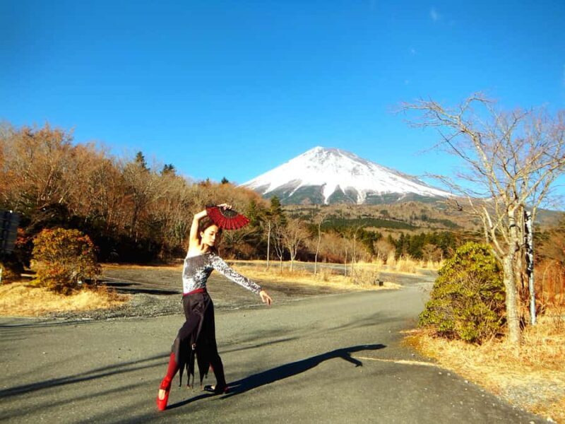 Tokyo: Mount Fuji Private Tour Custom itinerary With Guide - The Sum Up