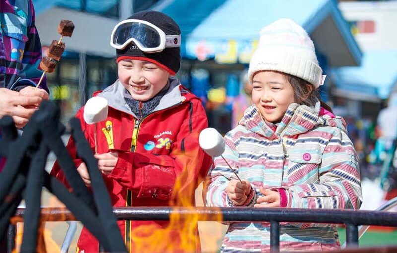 Tokyo: Mount Fuji & Snow Adventure Day Trip to Yeti Resort - A Practical Guide to the Tour