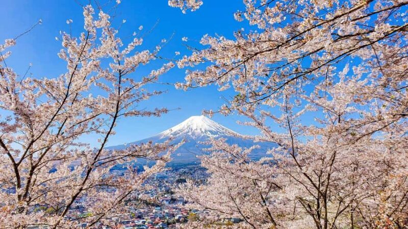 Tokyo: Mount Fuji, Twin Lakes Day Trip - FAQ