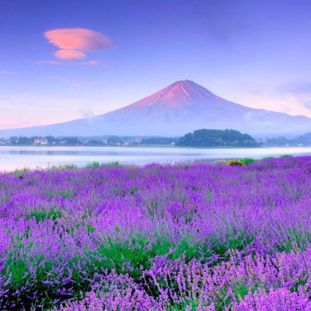 tokyo-mount-fuji-yamanaka-lake-kawaguchiko-lake-day-trip