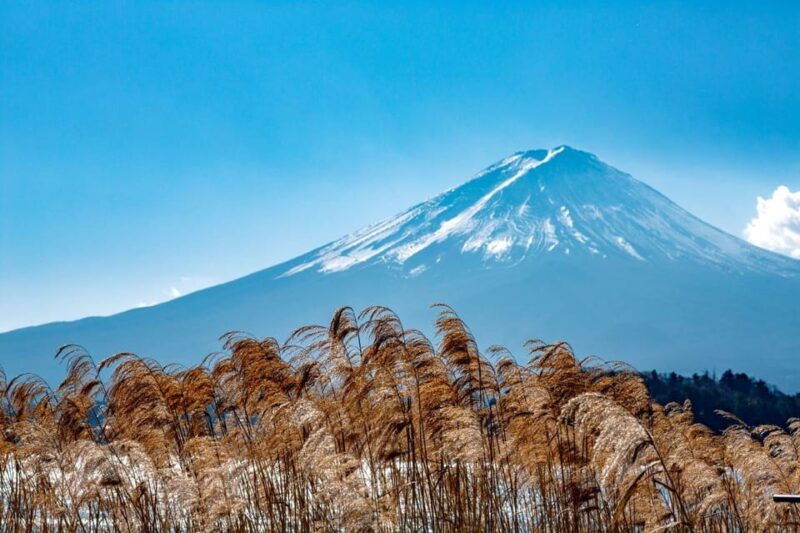 tokyo-mount-fuji-yamanaka-lake-kawaguchiko-lake-day-trip