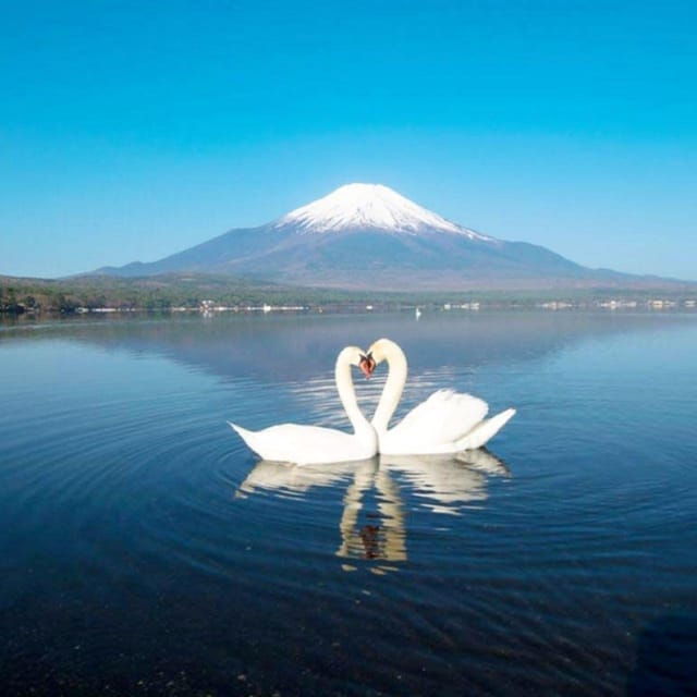 tokyo-mount-fuji-yamanaka-lake-kawaguchiko-lake-day-trip