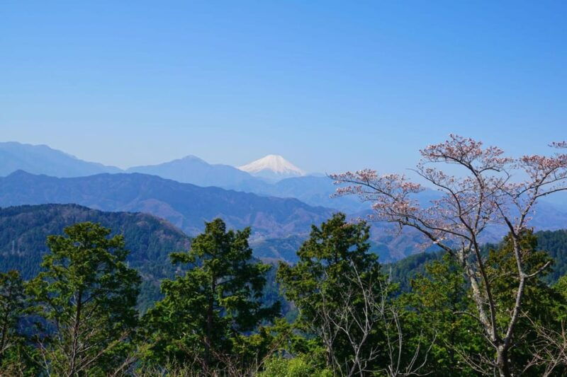 tokyo-mount-takao-guided-hiking-tour