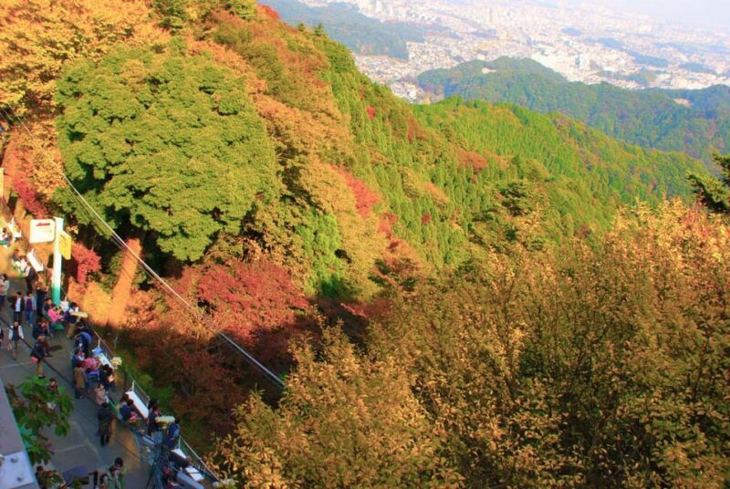 tokyo-mount-takao-guided-hiking-tour
