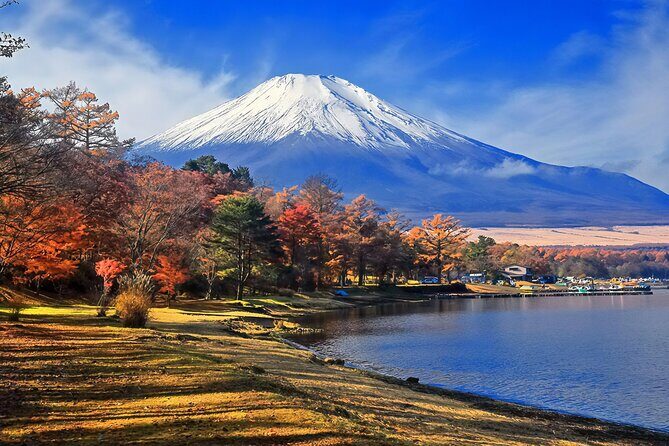 Tokyo: Mt Fuji 3 Lakes Day Trip Secret Spots and Seasonal View - Who Would Enjoy This Tour?